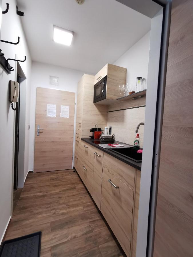 Appartement Mit Doppelbett Oder 2 Einzelbetten Bad Aussee Buitenkant foto