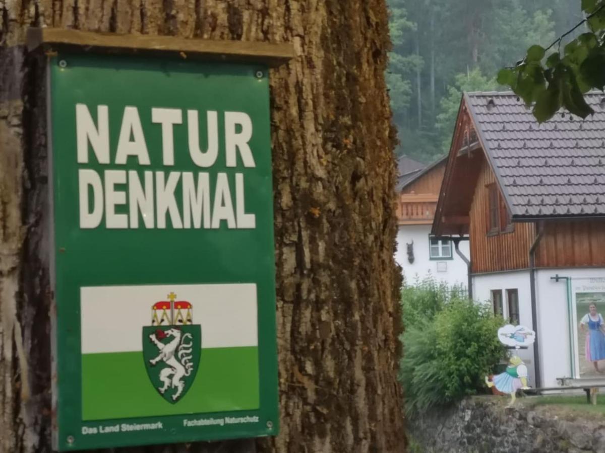 Appartement Mit Doppelbett Oder 2 Einzelbetten Bad Aussee Buitenkant foto